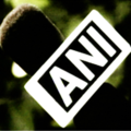 Aninews logo