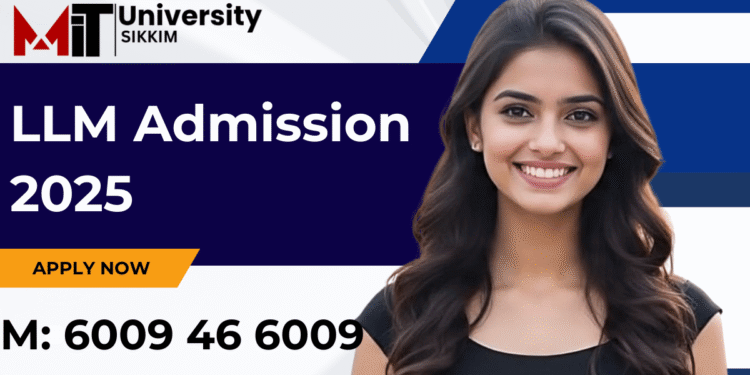 LLM Admission 2025